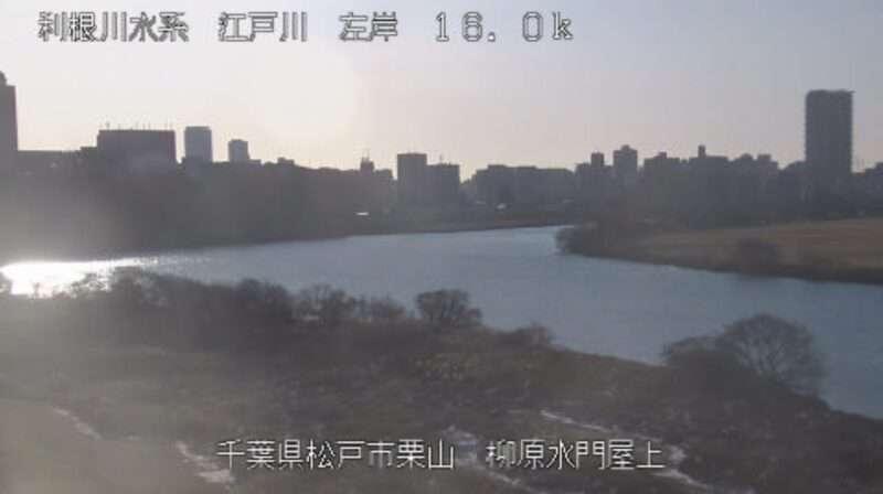 江戸川柳原水門屋上ライブカメラ(千葉県市川市国府台)