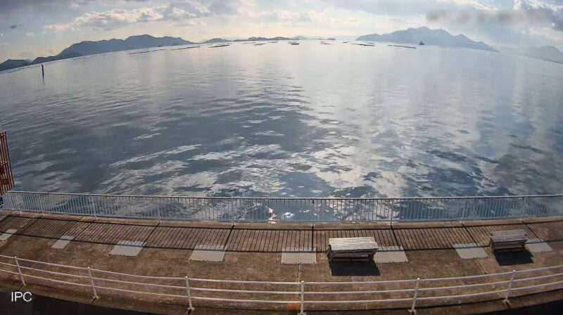 HSAF観音マリーナ沖ライブカメラ(広島県広島市西区観音新町)