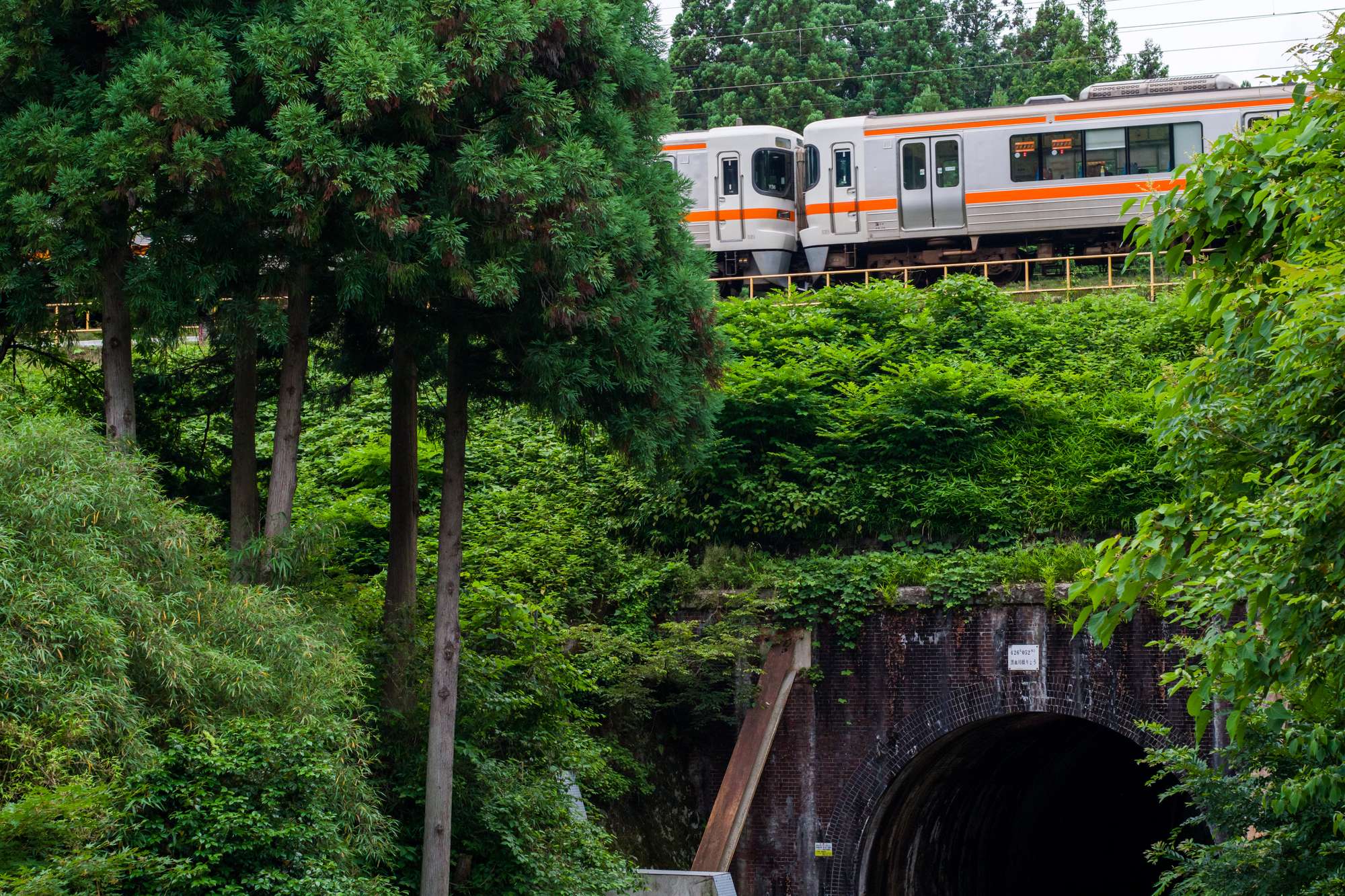 黒血川(木曽川水系)ライブカメラ一覧