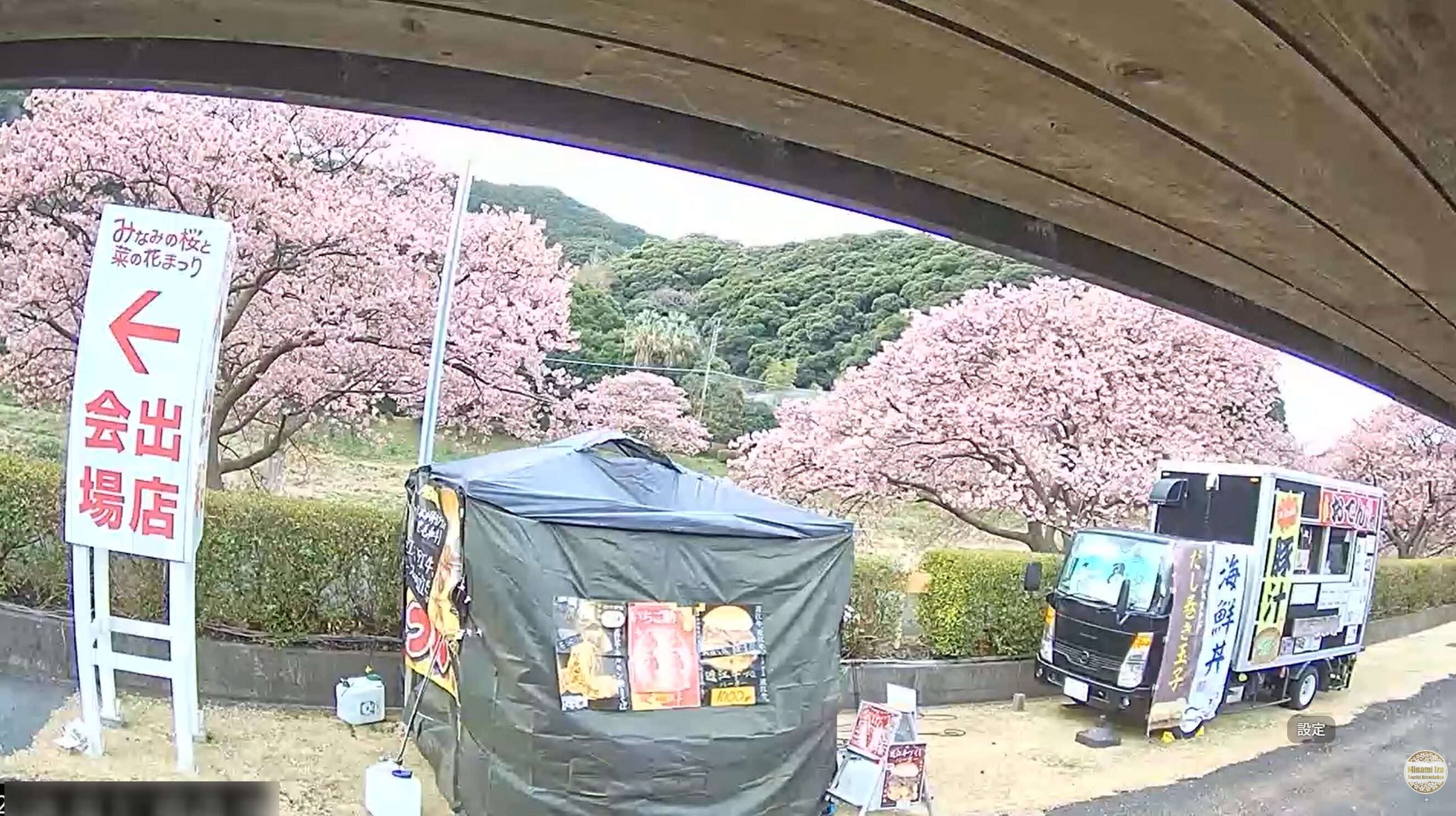 みなみの桜ライブカメラ(静岡県南伊豆町下賀茂)