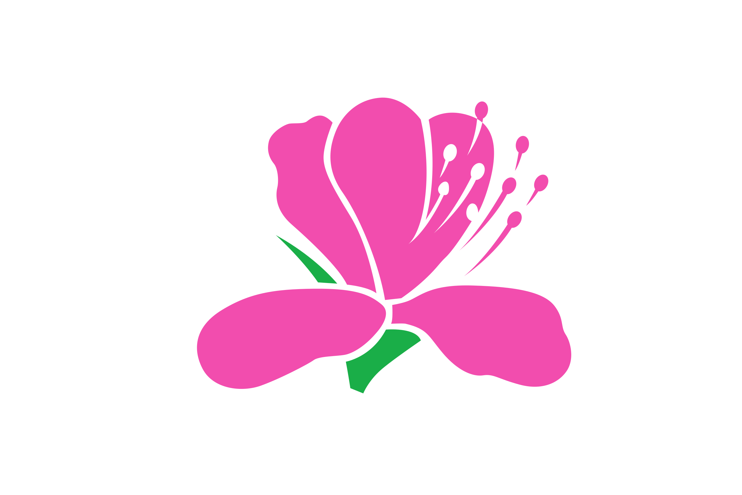 香川県直島町のライブカメラ一覧