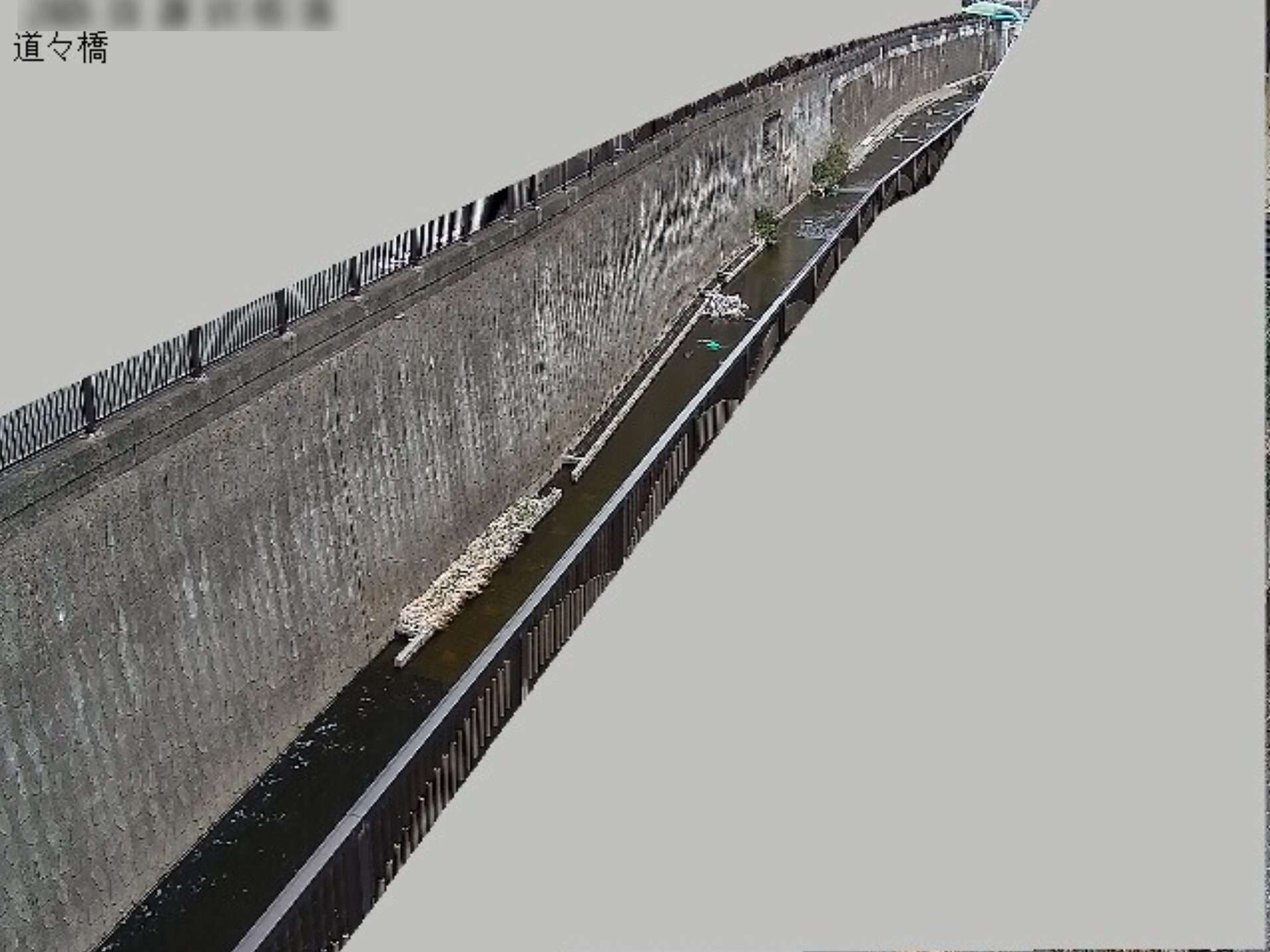 呑川道々橋ライブカメラ(東京都大田区久が原)