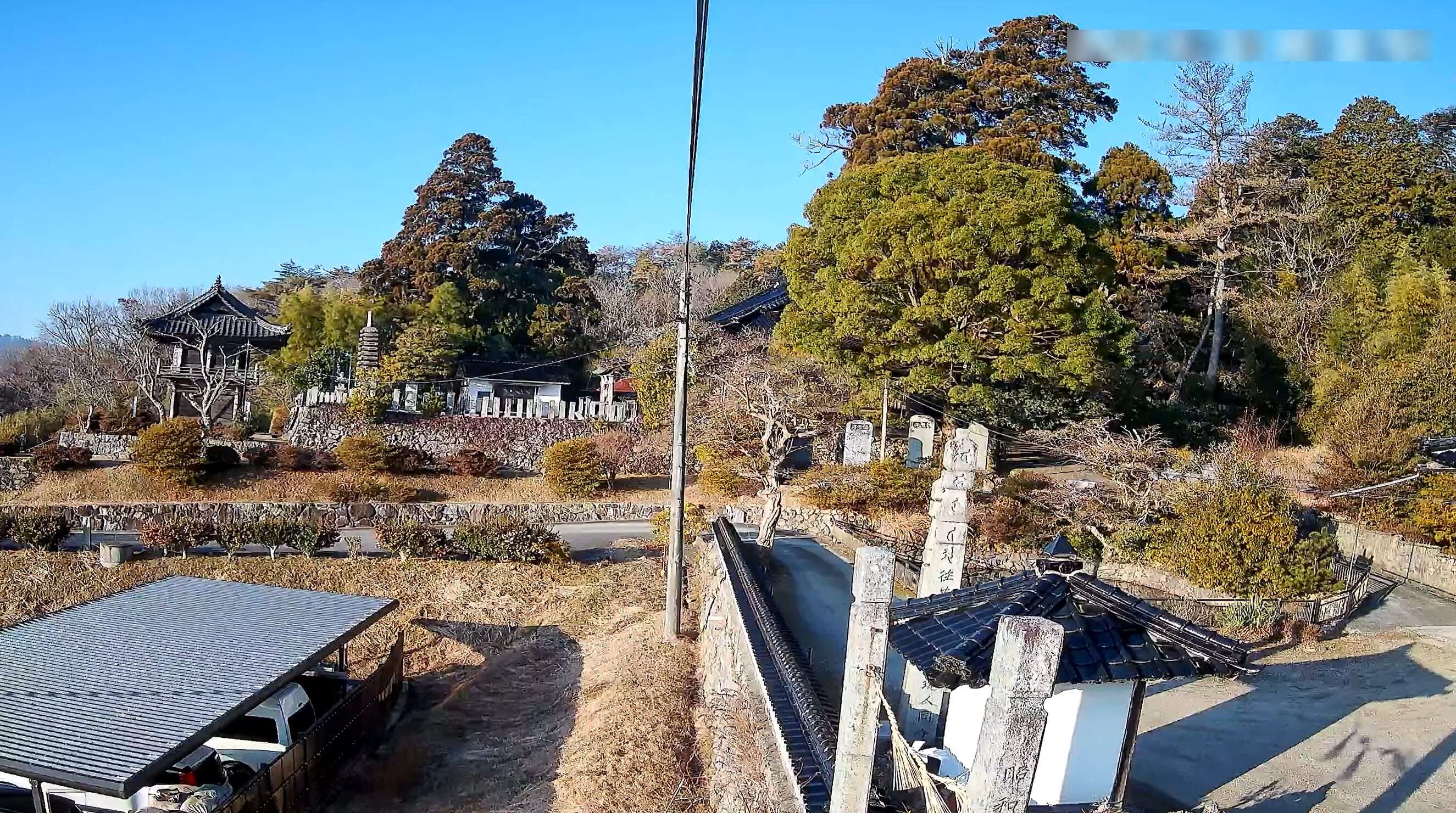 岡山祇園寺大杉ライブカメラ(岡山県高梁市巨瀬町)