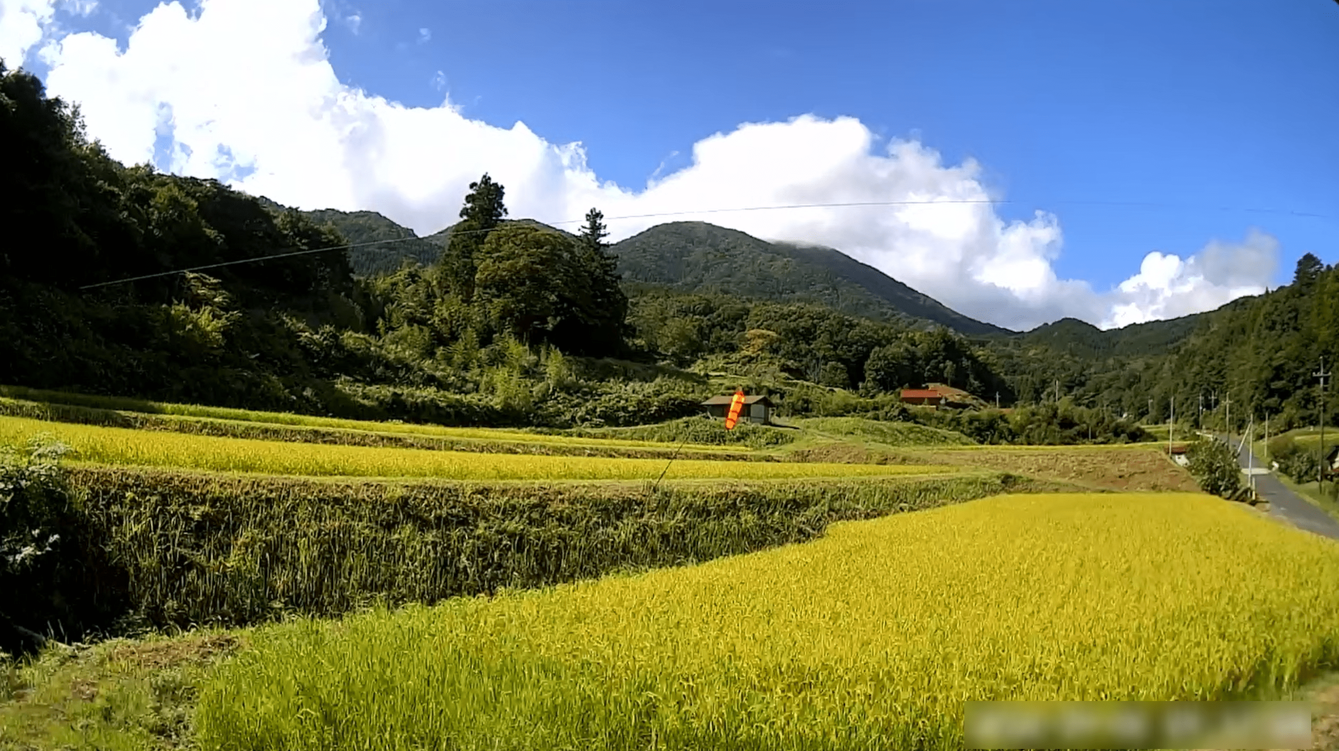 奥出雲鯛ノ巣山ライブカメラ(島根県奥出雲町上阿井)