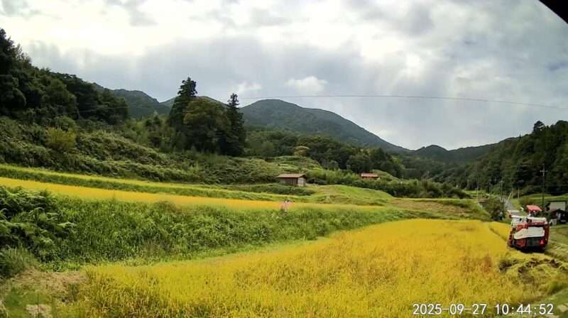 奥出雲鯛ノ巣山ライブカメラ(島根県奥出雲町上阿井) 2025年9月27日 お米の収穫