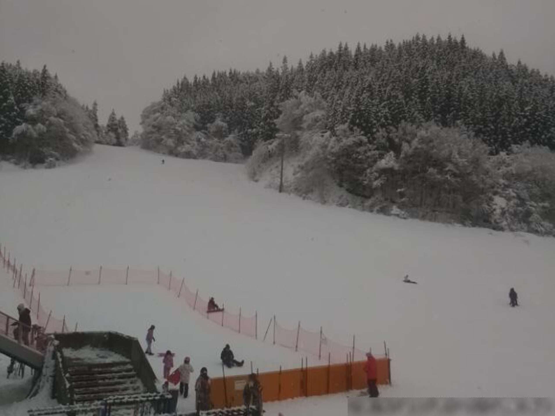 大鰐温泉スキー場ライブカメラ(青森県大鰐町虹貝)