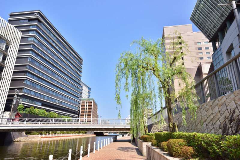 博多川(那珂川水系)ライブカメラ一覧