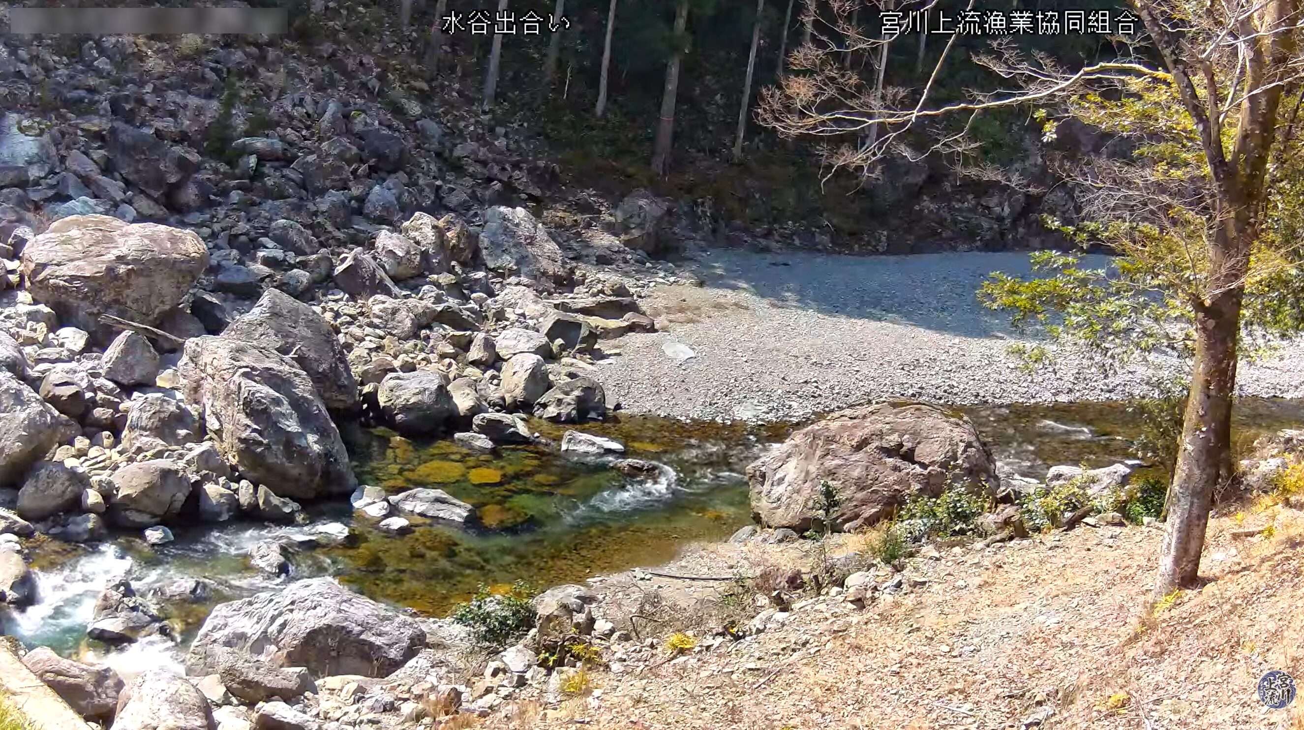 宮川上流漁業協同組合ライブカメラ(三重県大台町滝谷)