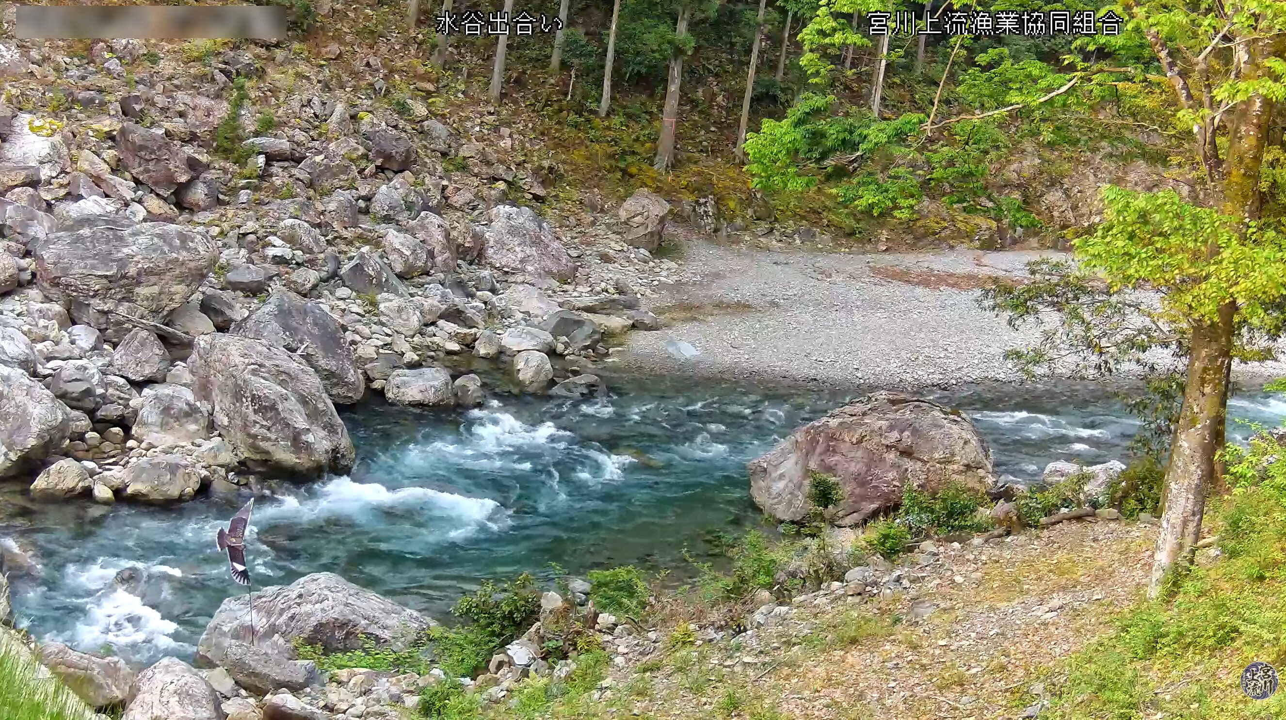 宮川上流漁業協同組合ライブカメラ(三重県大台町滝谷)