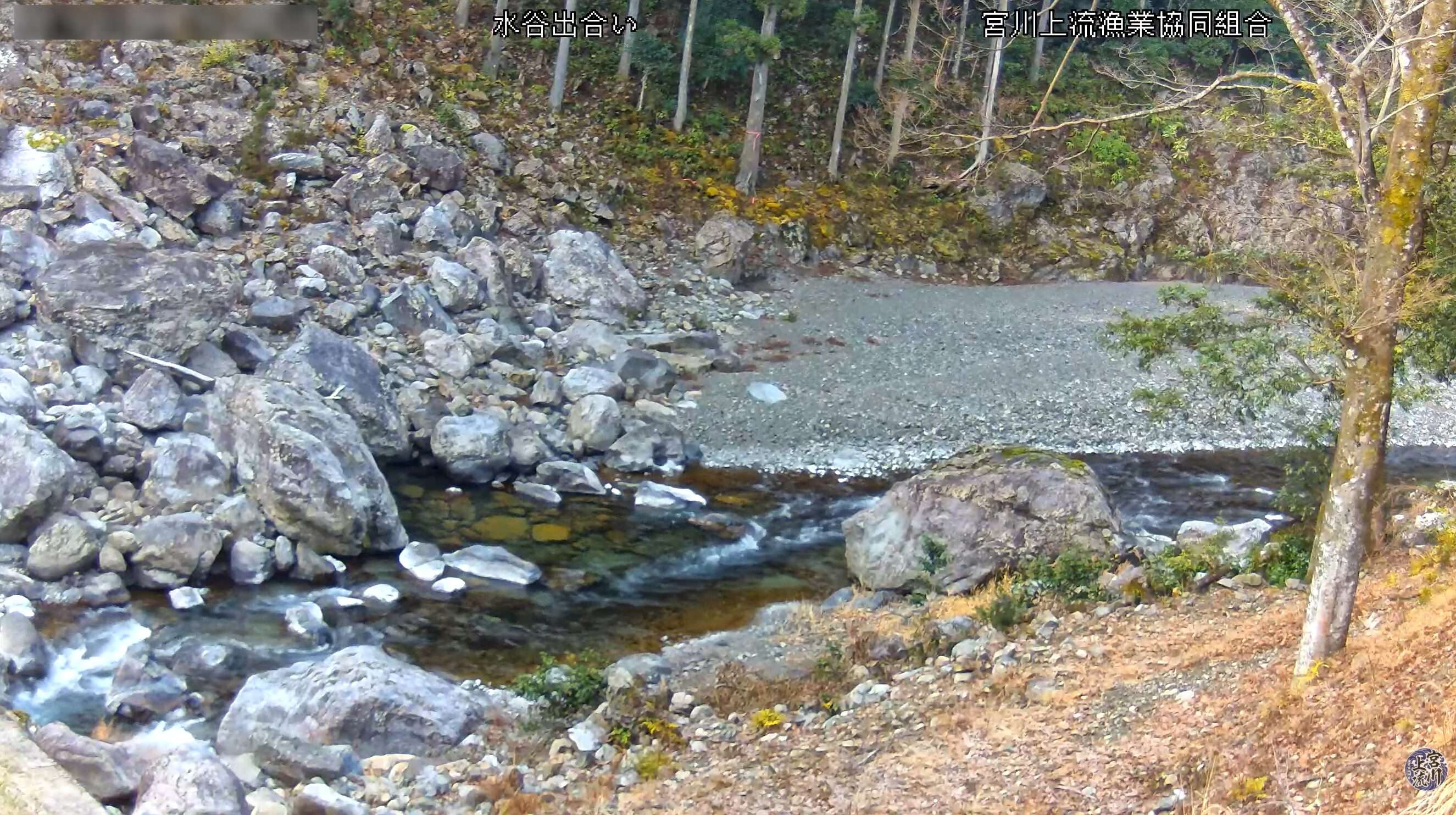 宮川上流漁業協同組合ライブカメラ(三重県大台町滝谷)