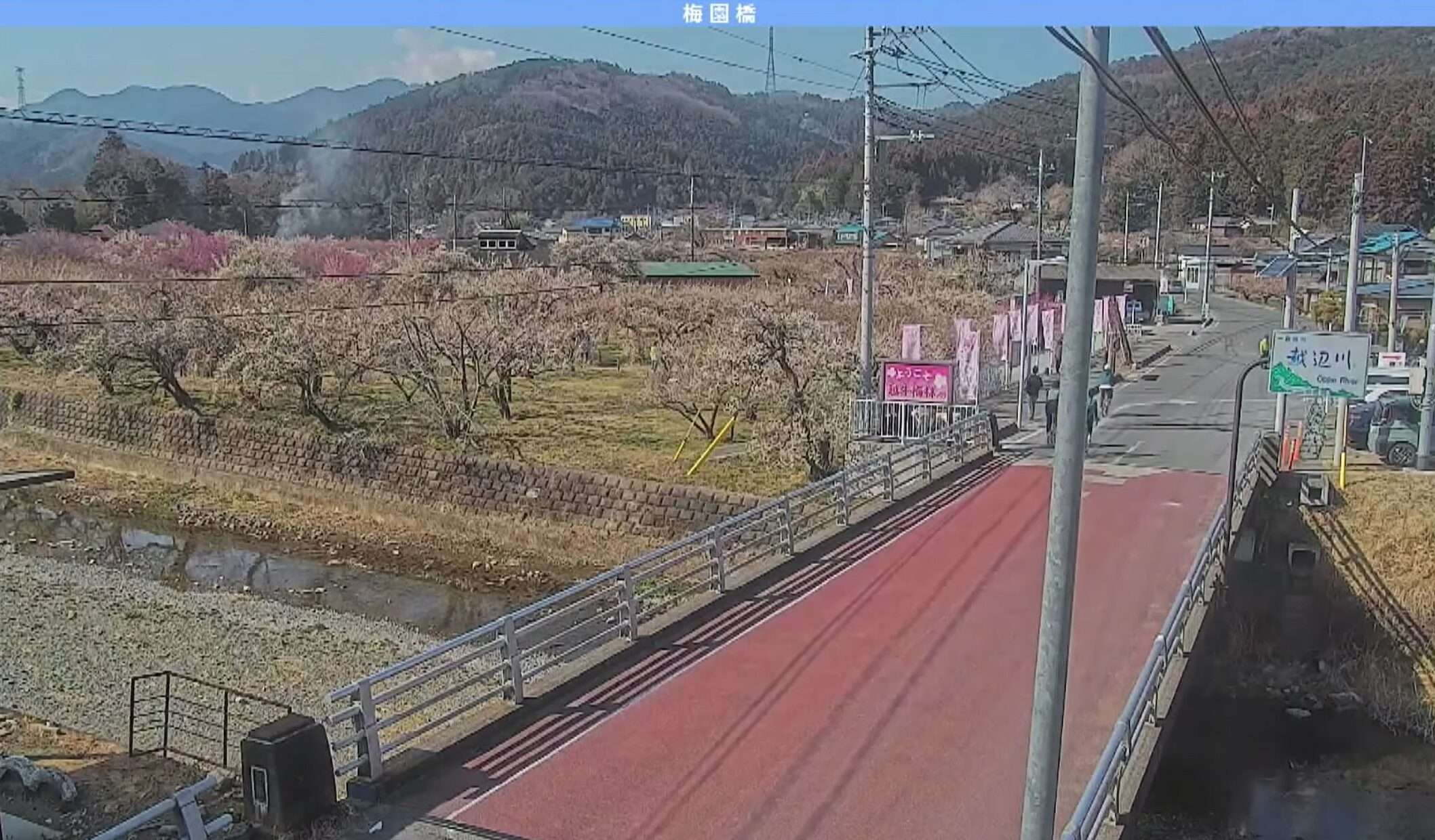 越生梅林ライブカメラ(埼玉県越生町堂山)