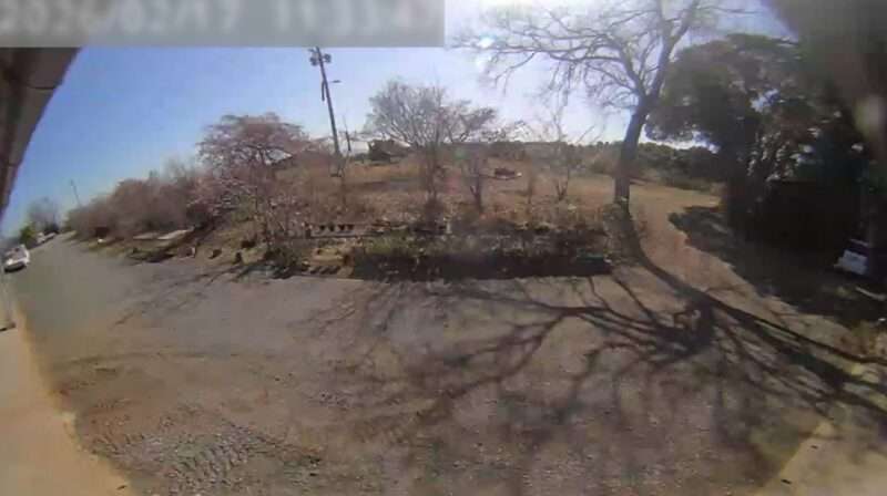 静豊園河津桜ライブカメラ(福岡県豊前市松江)