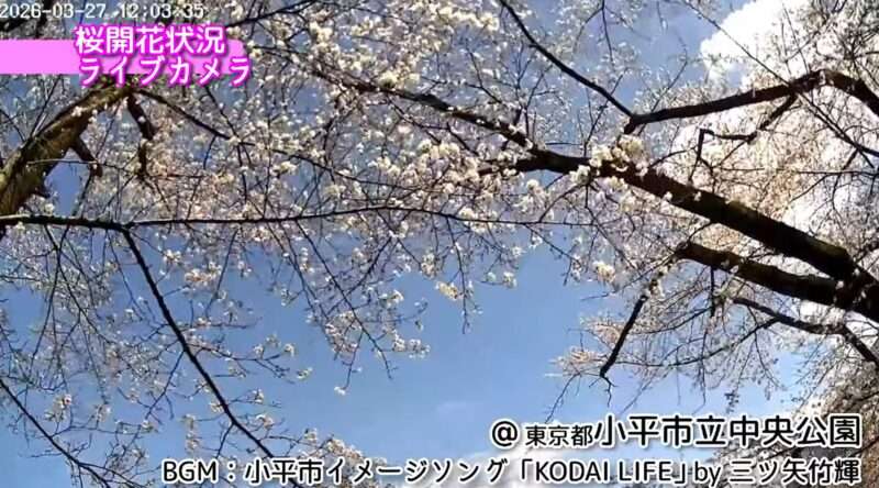 小平市立中央公園桜ライブカメラ(東京都小平市津田町) 2026年3月27日 桜開花状況