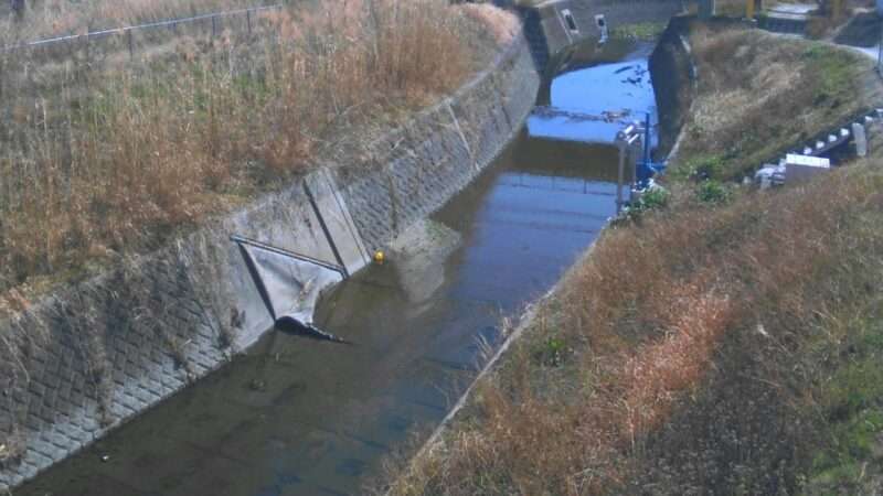 小金打川松塚樋門上流ライブカメラ(奈良県大和高田市松塚)