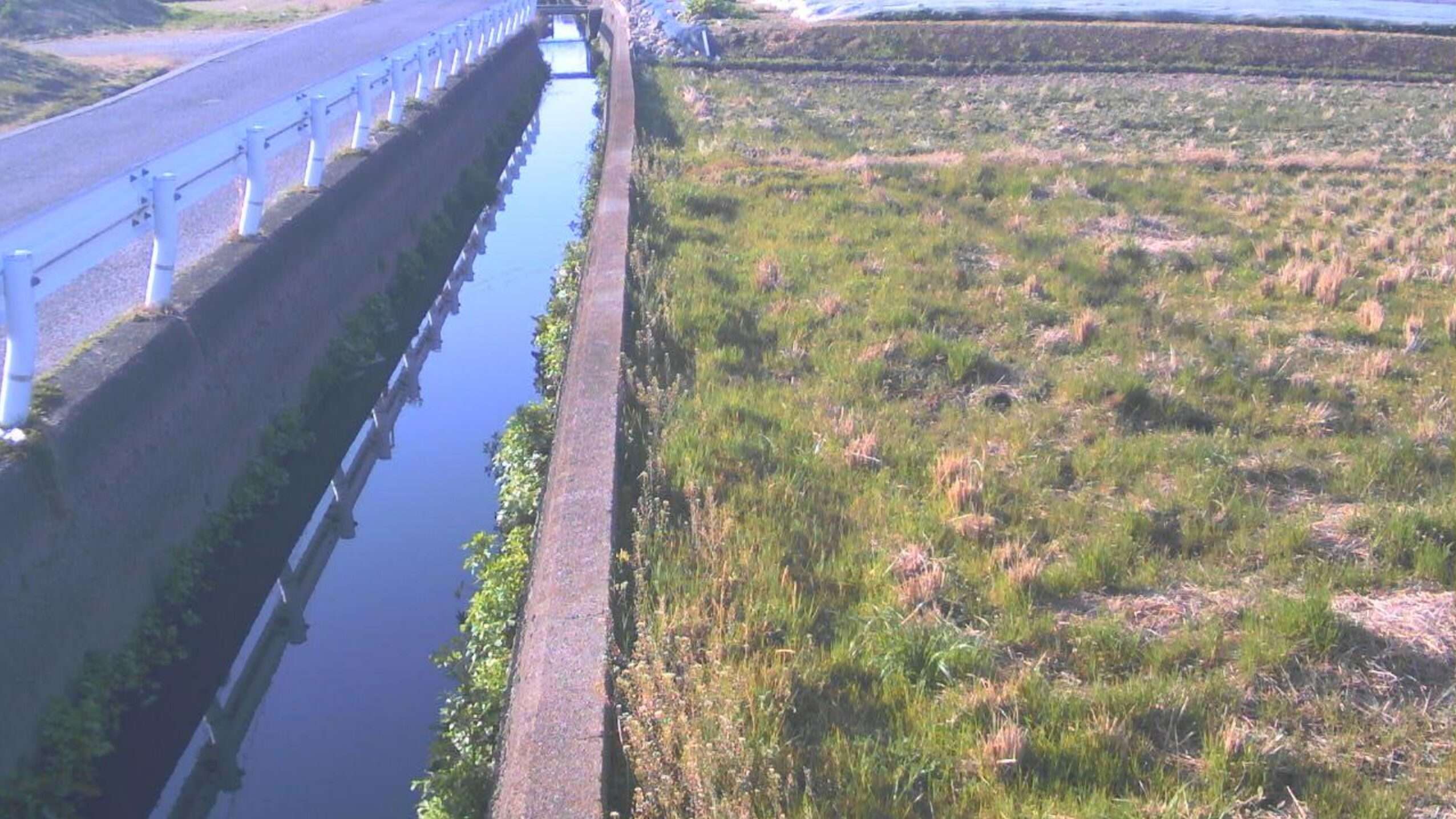 小金打川松塚ライブカメラ(奈良県大和高田市松塚)