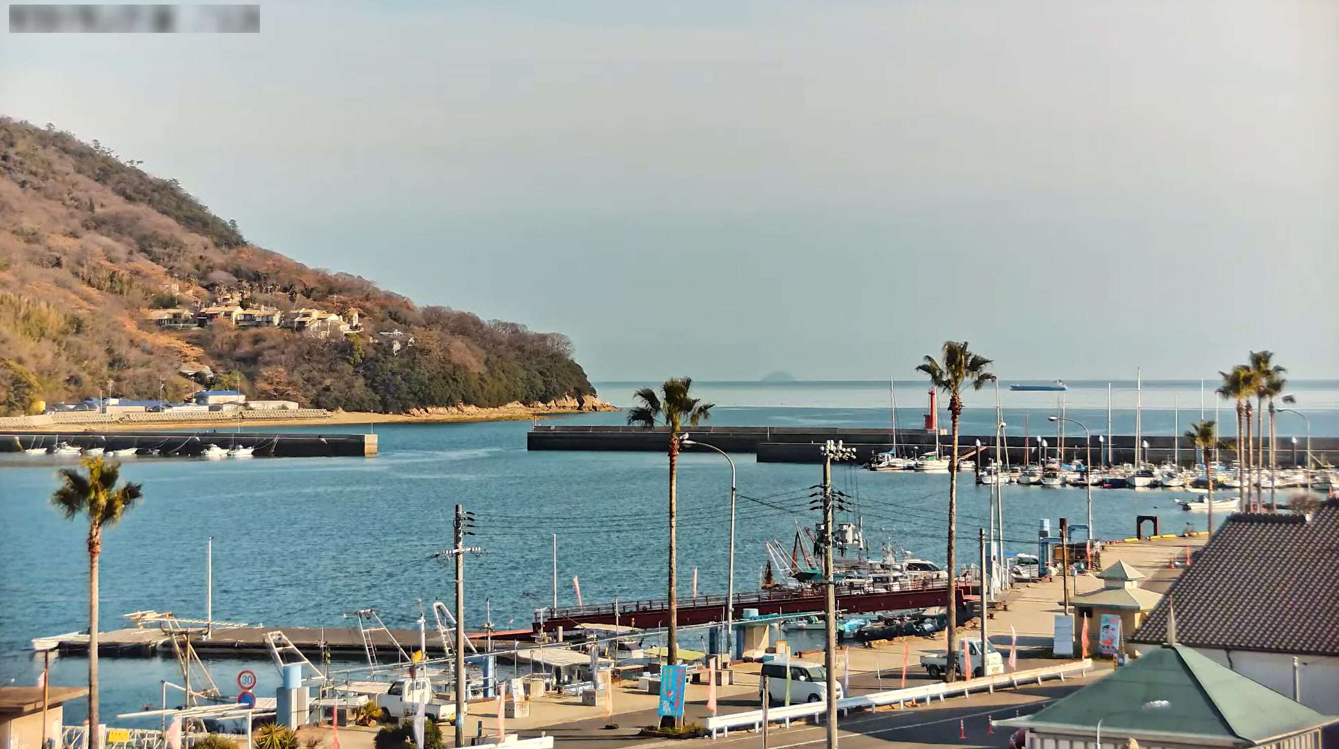 村上餌虫店ライブカメラ(広島県福山市内海町)