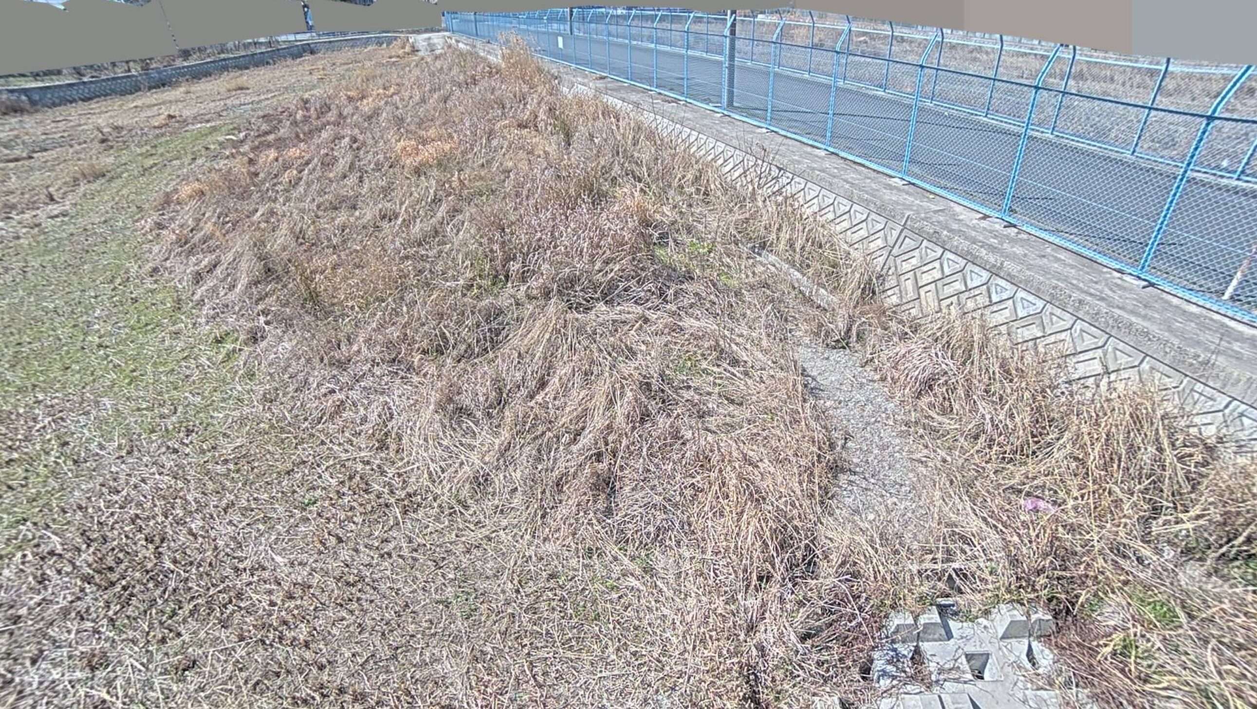 東浅井川遊水地ライブカメラ(愛知県一宮市浅井町東浅井)