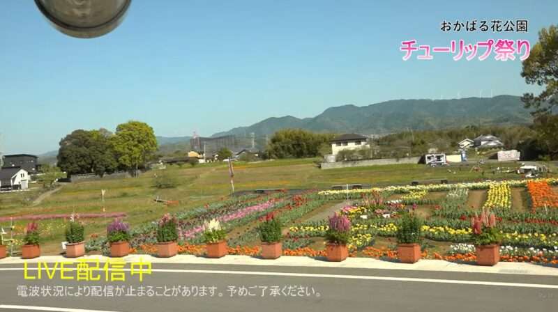 おかばる花公園ライブカメラ(大分県大分市横尾)