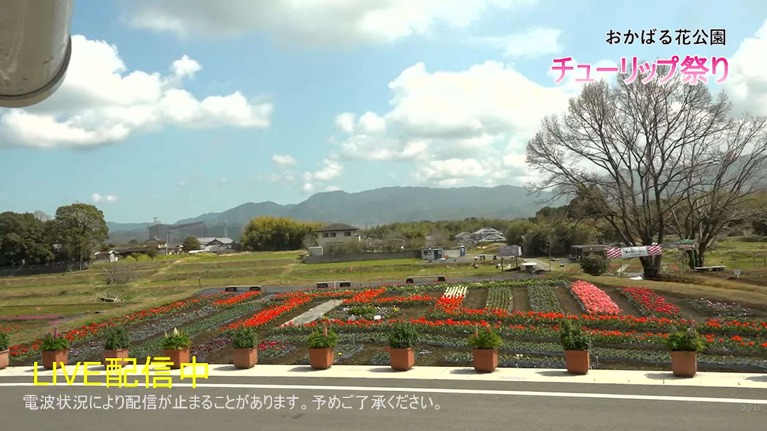 おかばる花公園ライブカメラ(大分県大分市横尾)