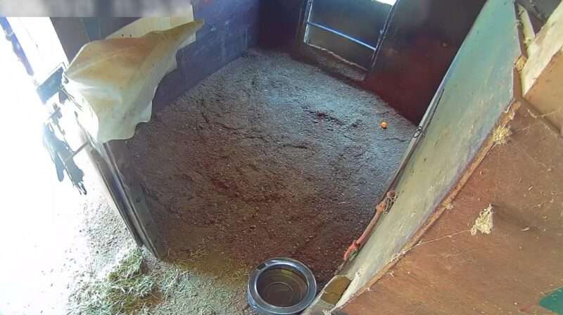 ゼンライディングクラブライブカメラ(山形県上山市蔵王)