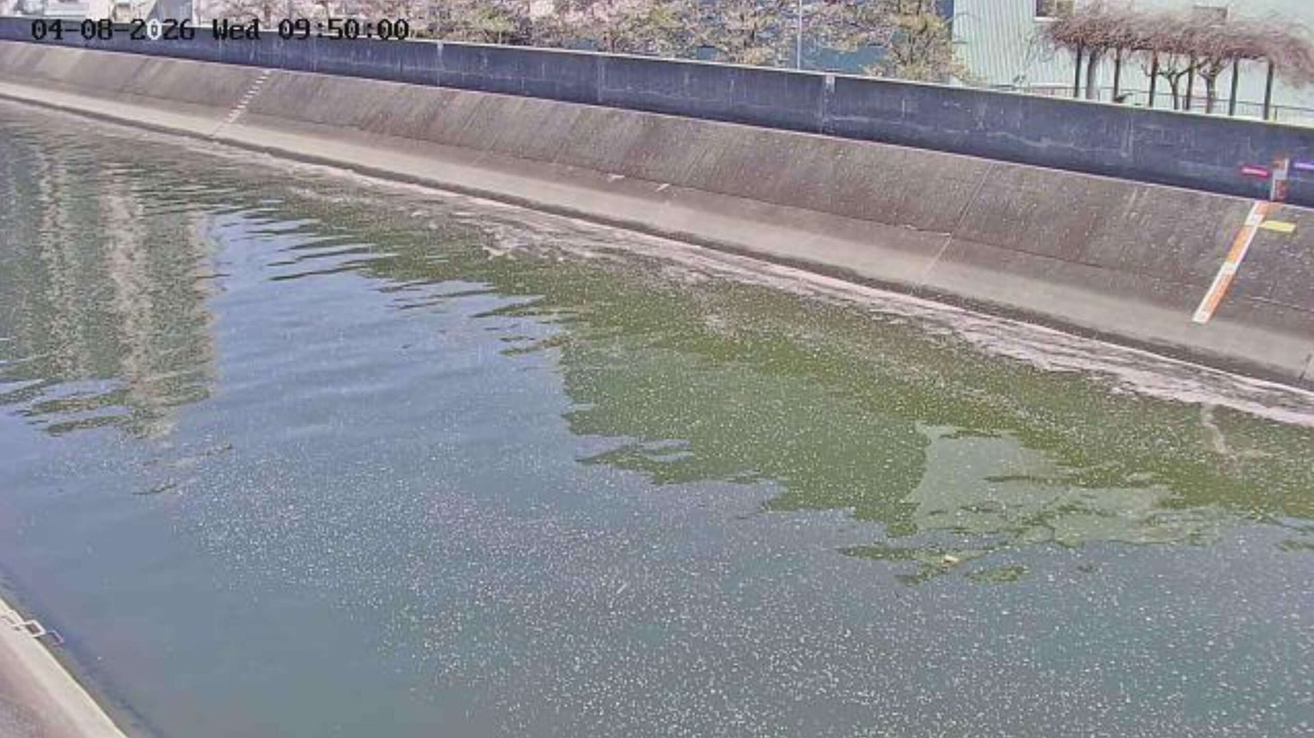 第二寝屋川新田大橋ライブカメラ(大阪府東大阪市御厨南)