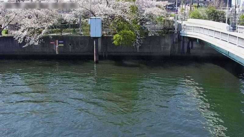 ็ฌฌไบๅฏๅฑๅทๅ่ฆๆฉใฉใคใใซใกใฉ(ๅคง้ชๅบๅคง้ชๅธๅๆฑๅบ้ดซ้่ฅฟ)