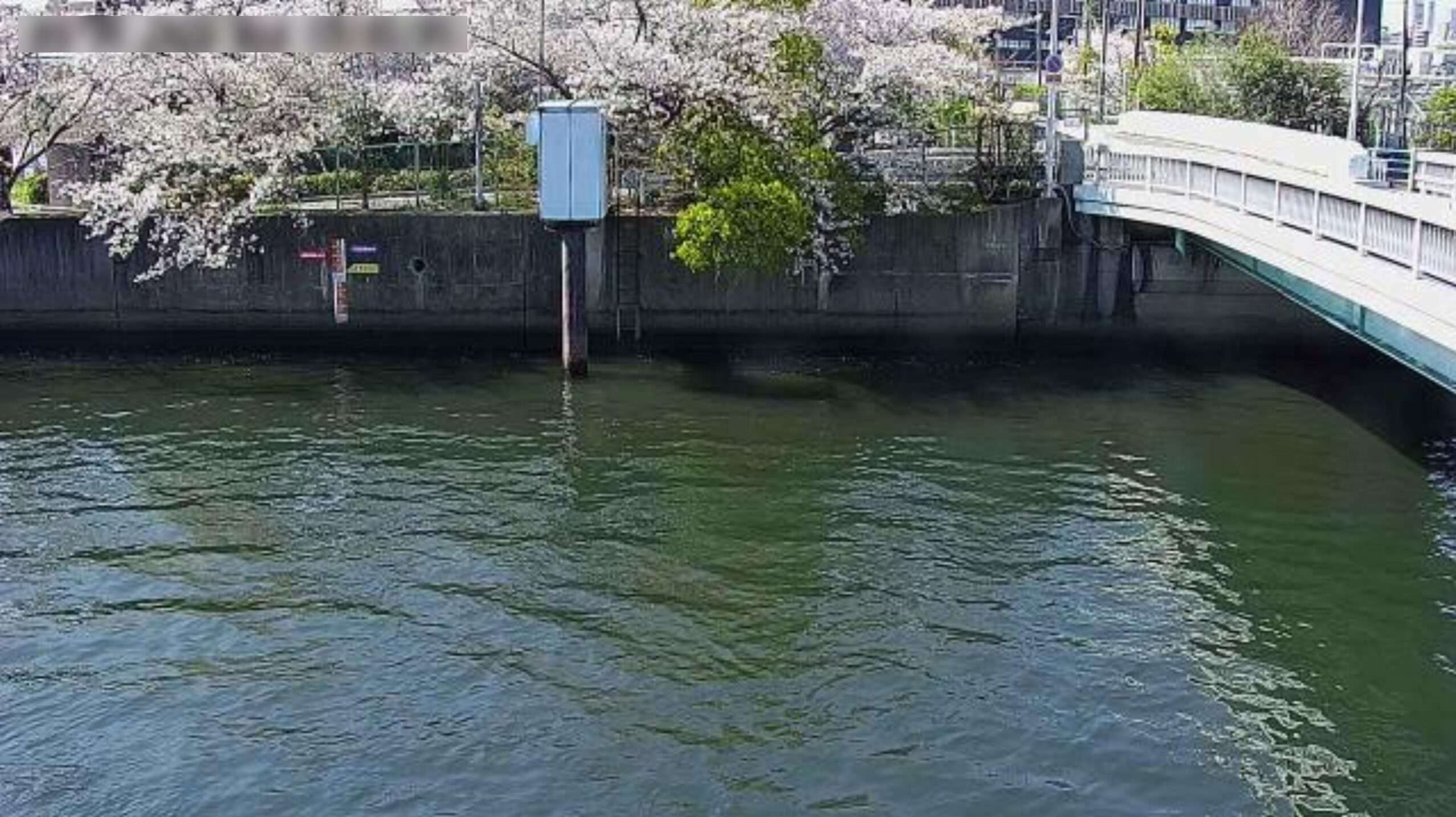 第二寝屋川城見橋ライブカメラ(大阪府大阪市城東区鴫野西)