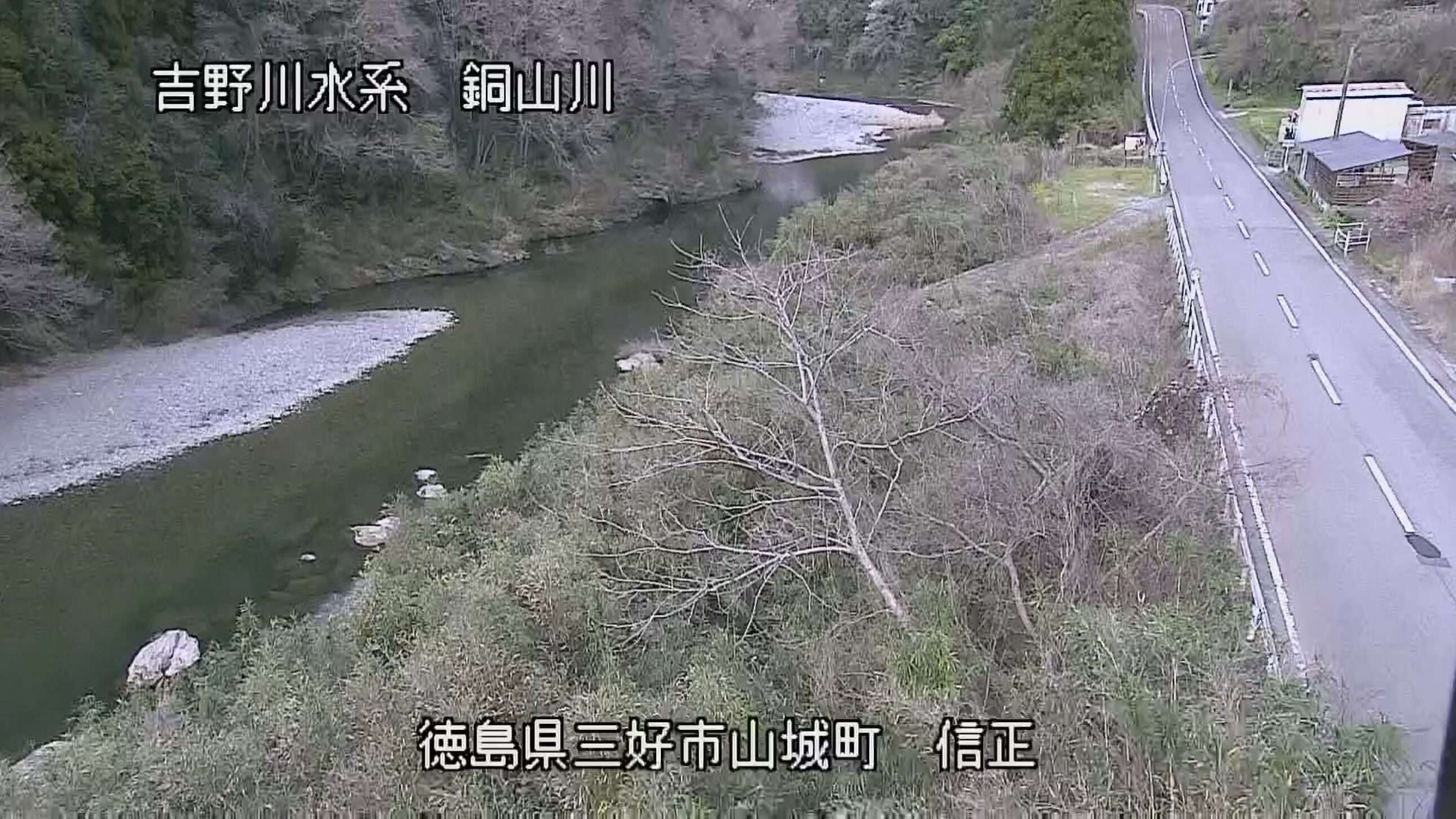 銅山川山城町信正ライブカメラ(徳島県三好市山城町信正)