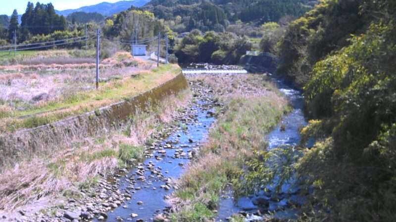 樋脇川鹿子田橋ライブカメラ(鹿児島県薩摩川内市入来町浦之名)