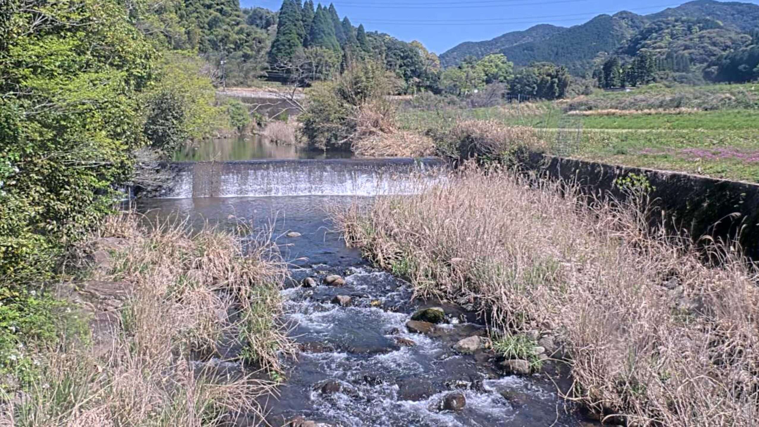 樋脇川黒武者橋ライブカメラ(鹿児島県薩摩川内市入来町浦之名)