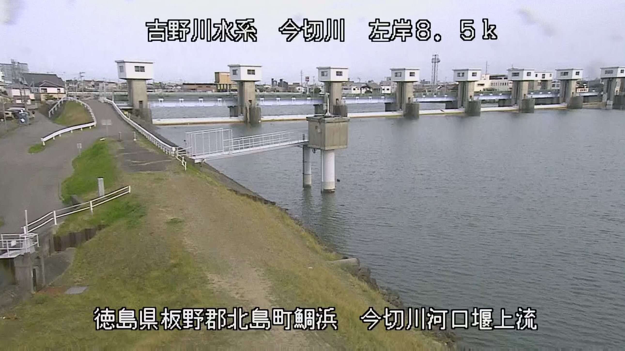 今切川今切川河口堰上流ライブカメラ(徳島県北島町鯛浜)