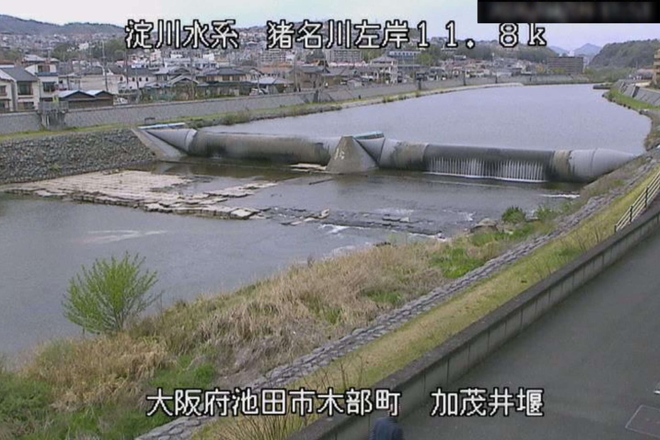 猪名川加茂井堰ライブカメラ(大阪府池田市木部町)