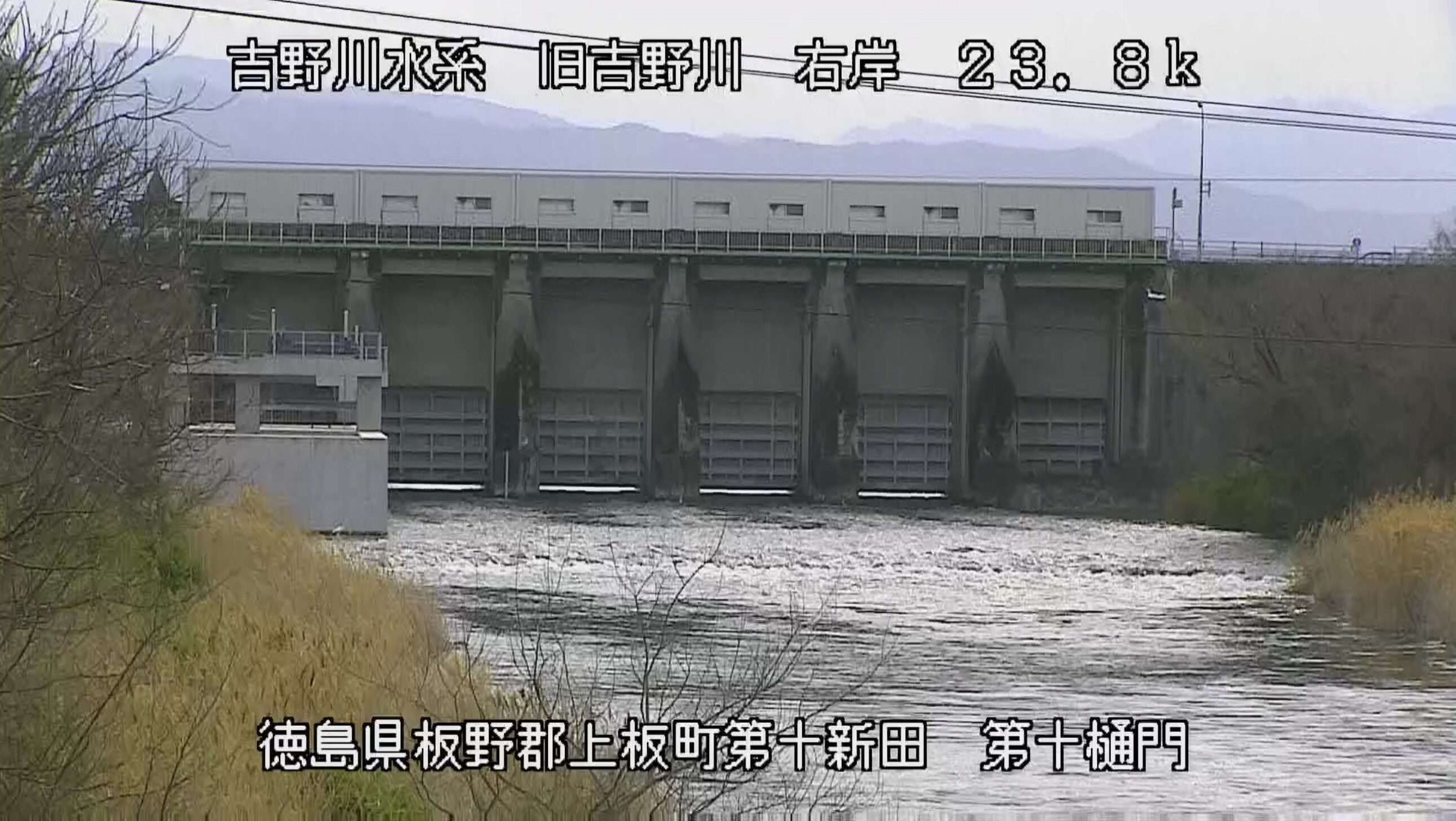 旧吉野川第十樋門ライブカメラ(徳島県上板町第十新田)