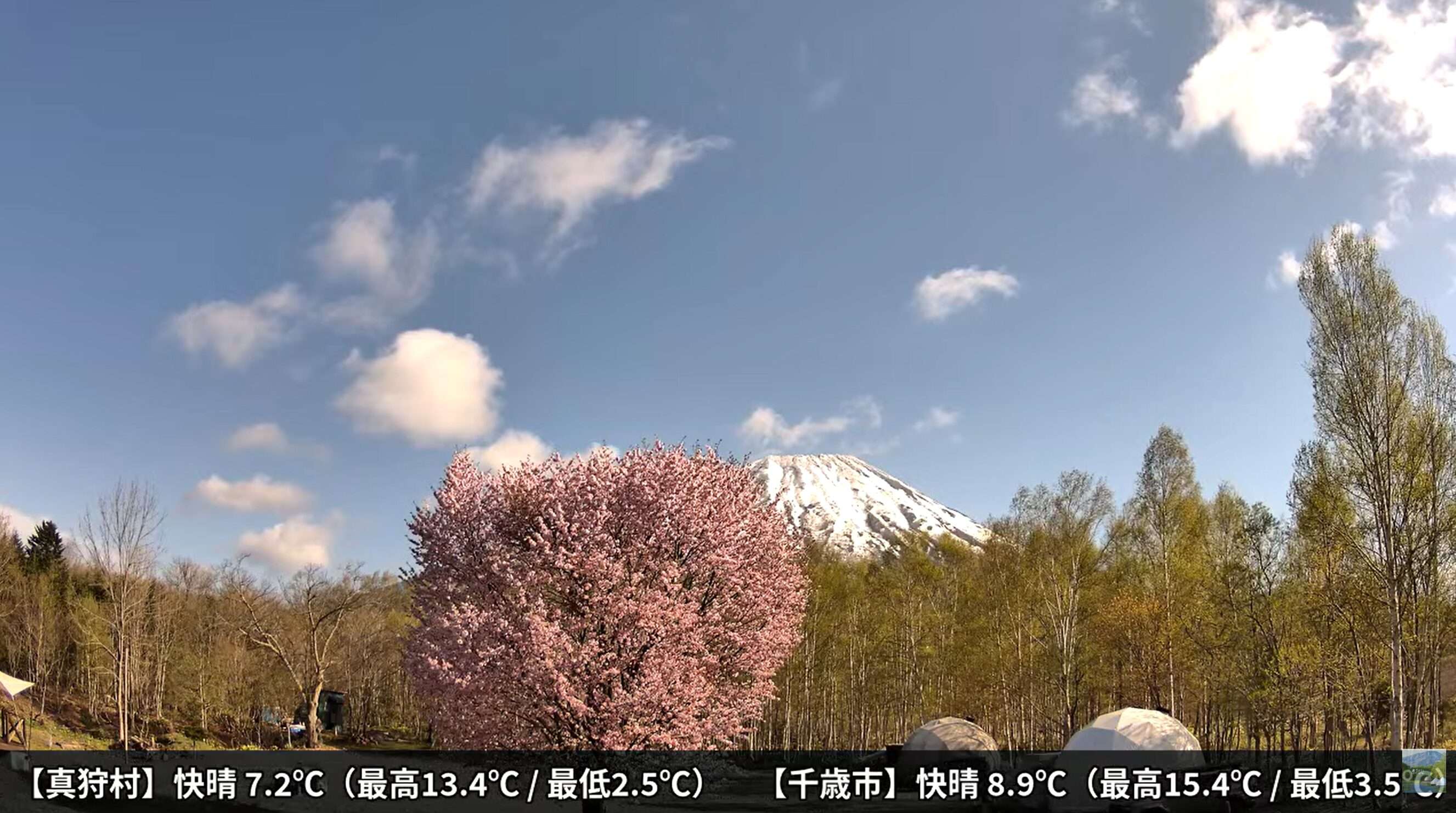 真狩焚き火キャンプ場羊蹄山ライブカメラ(北海道真狩村社)