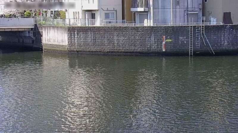 寝屋川古堤橋ライブカメラ(大阪府大阪市城東区今福南)