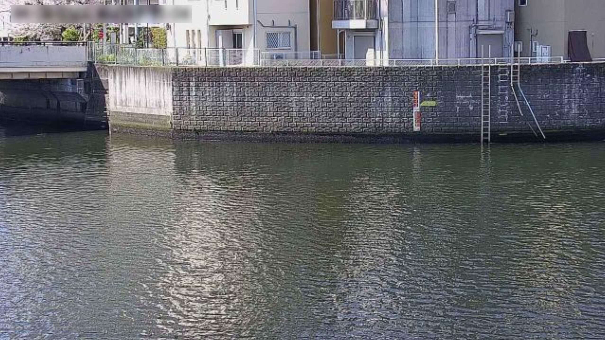 寝屋川古堤橋ライブカメラ(大阪府大阪市城東区今福南)