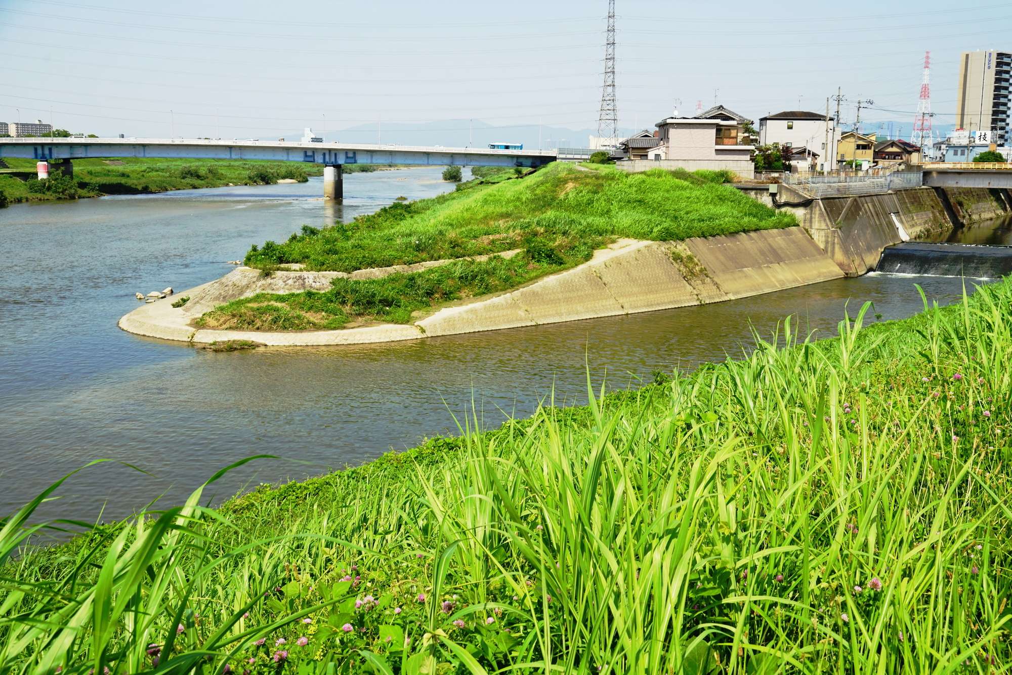 西除川(大和川水系)ライブカメラ一覧