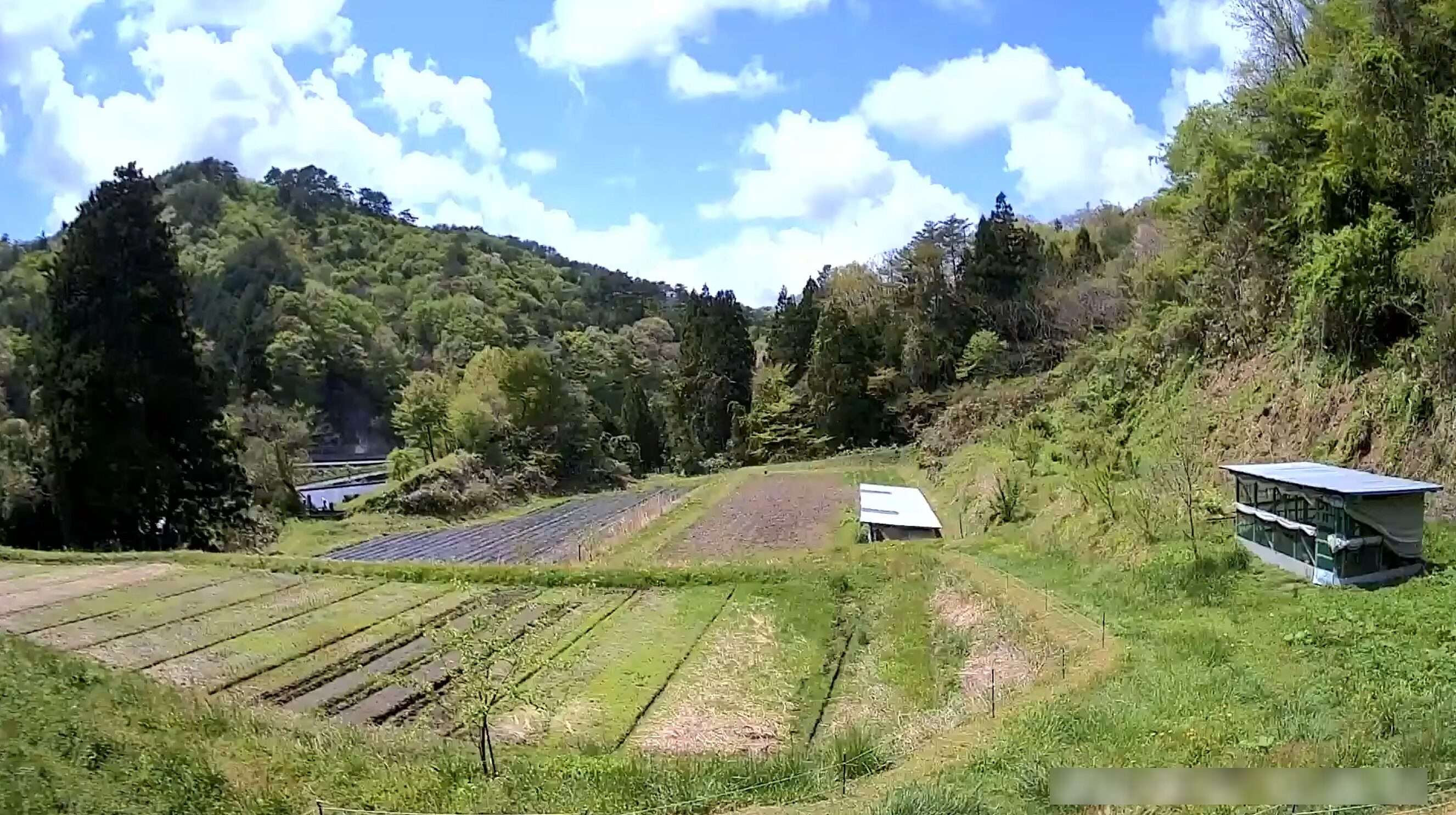 白井自然農園ライブカメラ(島根県飯南町都加賀)