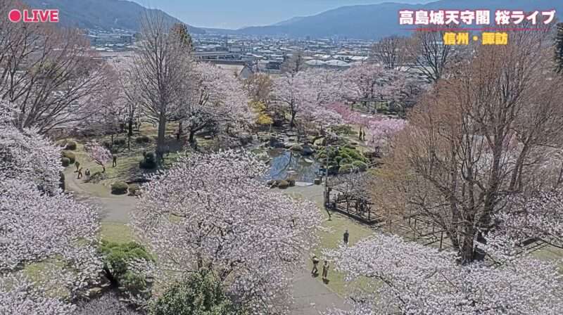 高島城天守閣桜ライブカメラ(長野県諏訪市高島)