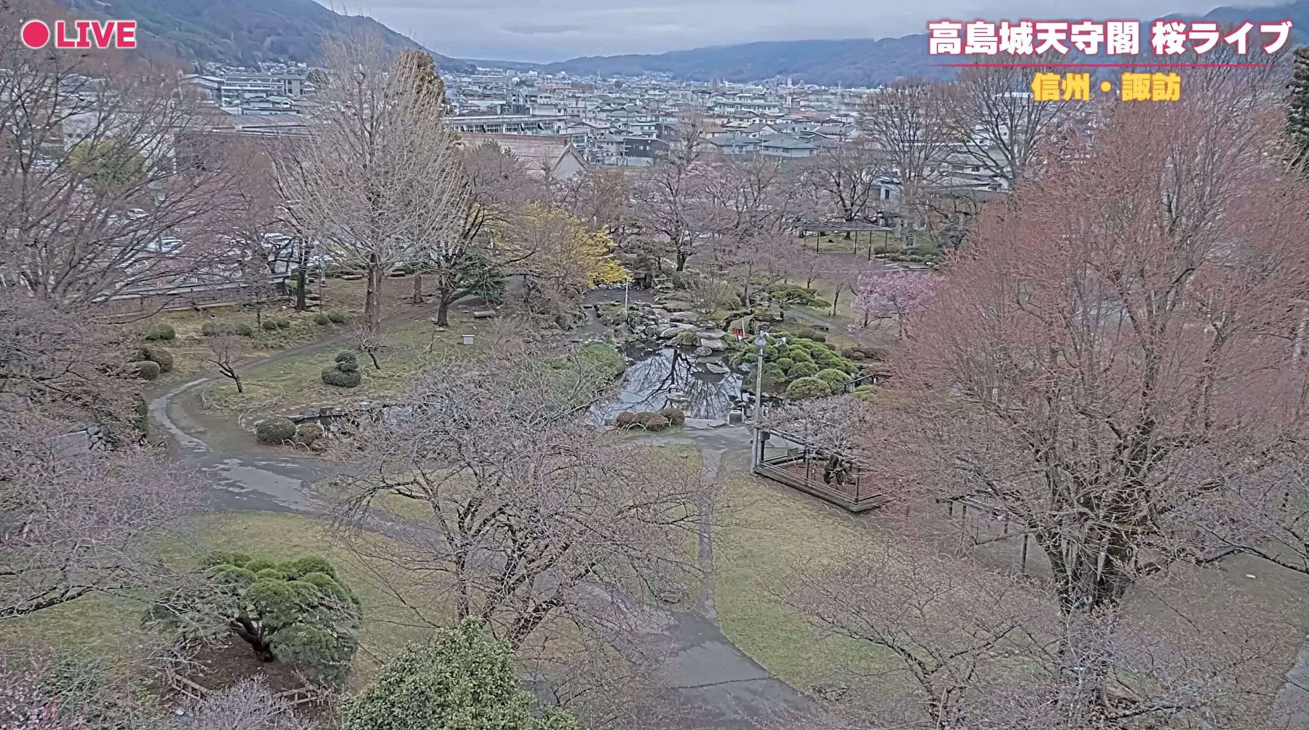 高島城天守閣桜ライブカメラ(長野県諏訪市高島)
