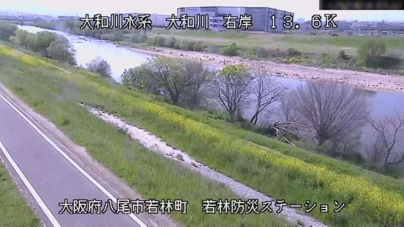 大和川若林防災ステーションライブカメラ(大阪府八尾市若林町)