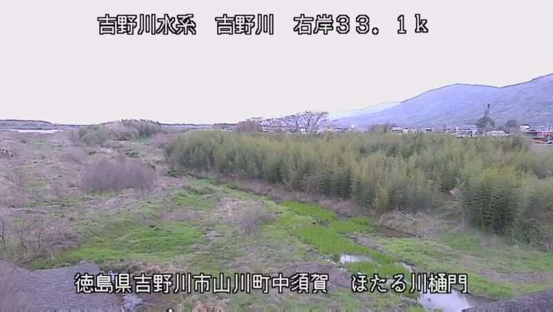 吉野川ほたる川樋門ライブカメラ(徳島県吉野川市山川町堤外)