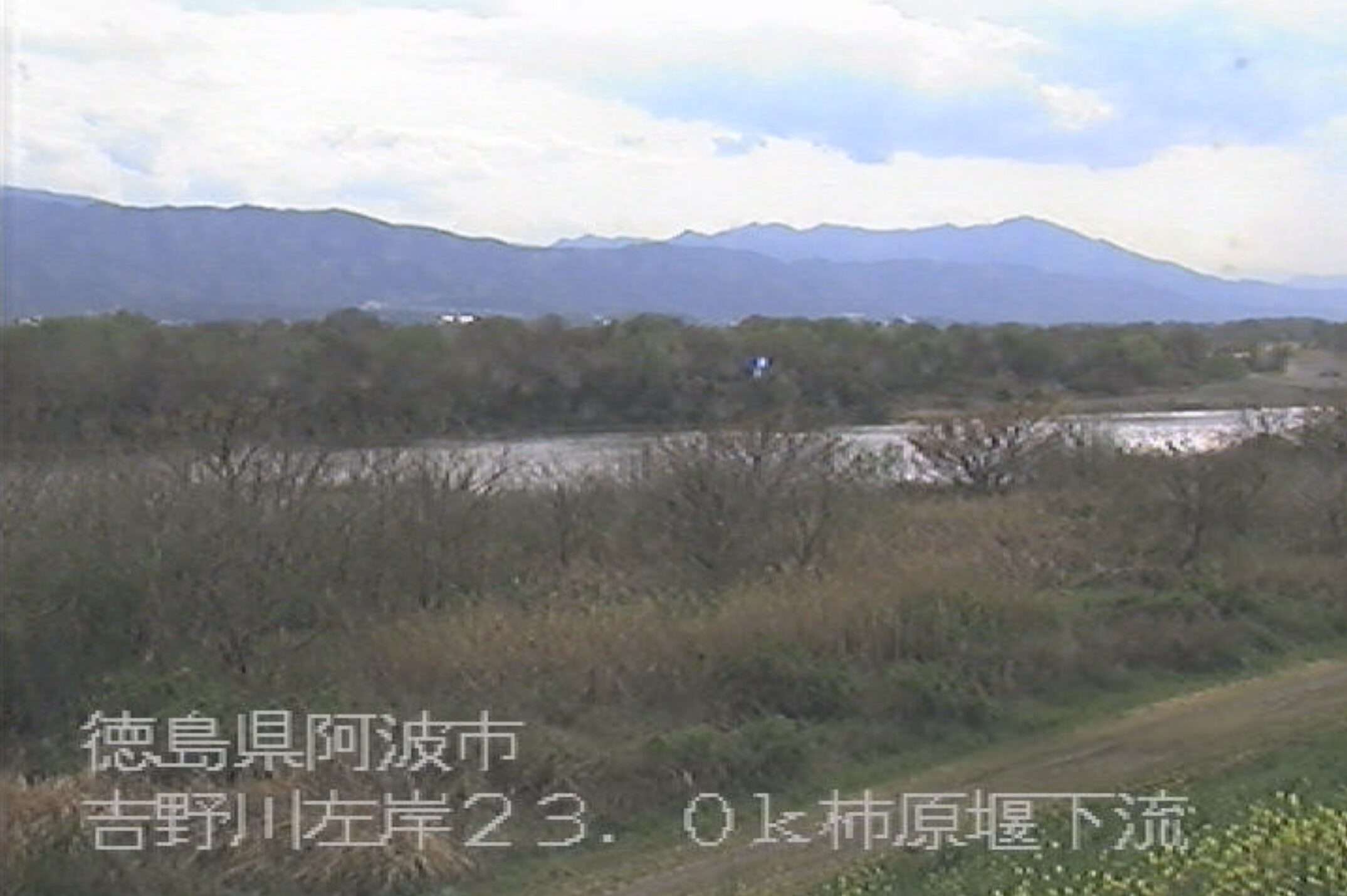 吉野川柿原堰下流ライブカメラ(徳島県阿波市吉野町柿原)