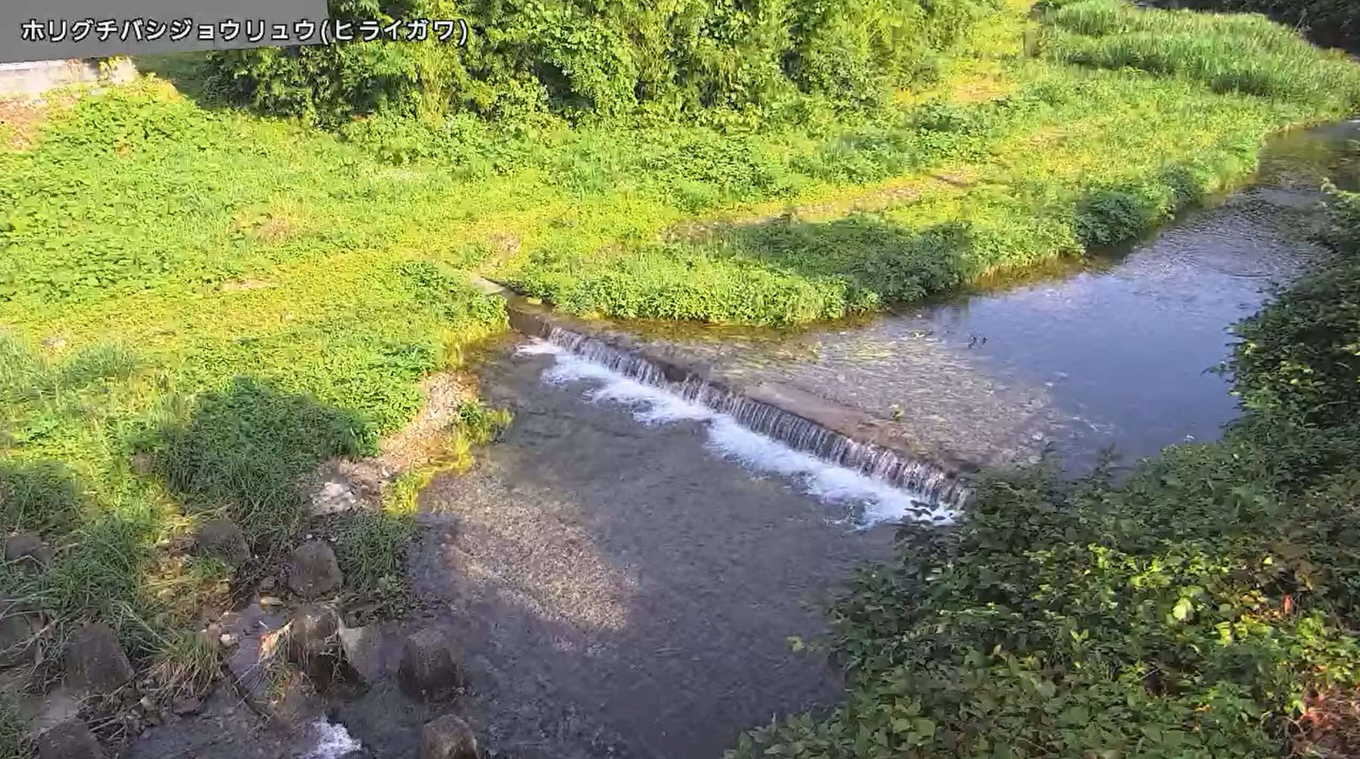 平井川堀口橋上流ライブカメラ(東京都日の出町大久野)