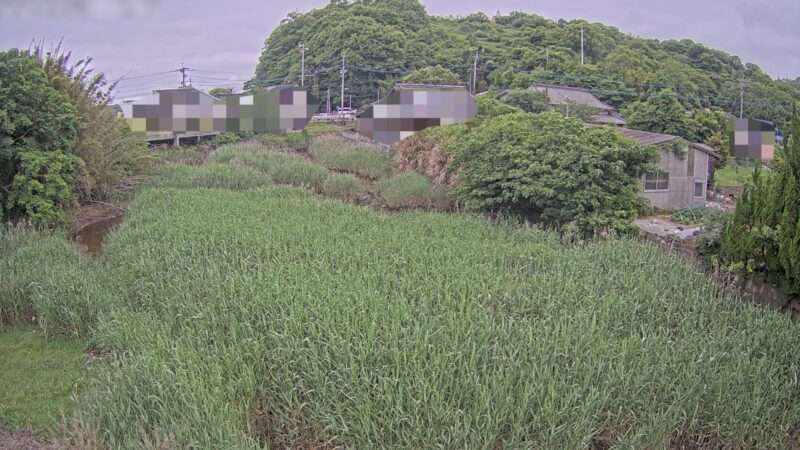上天草市道大矢野町維和ライブカメラ(熊本県上天草市大矢野町維和)