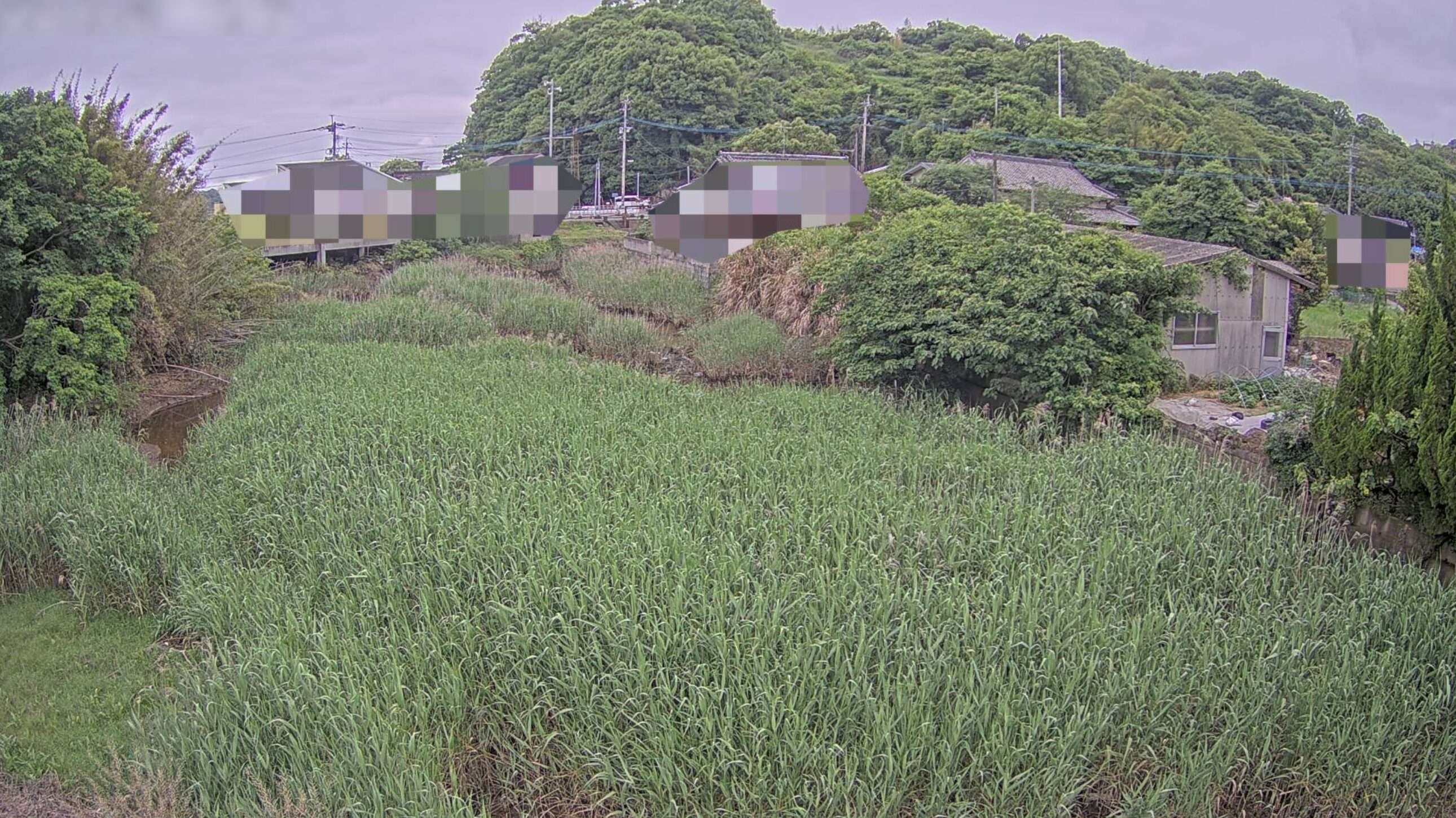 上天草市道大矢野町維和ライブカメラ(熊本県上天草市大矢野町維和)