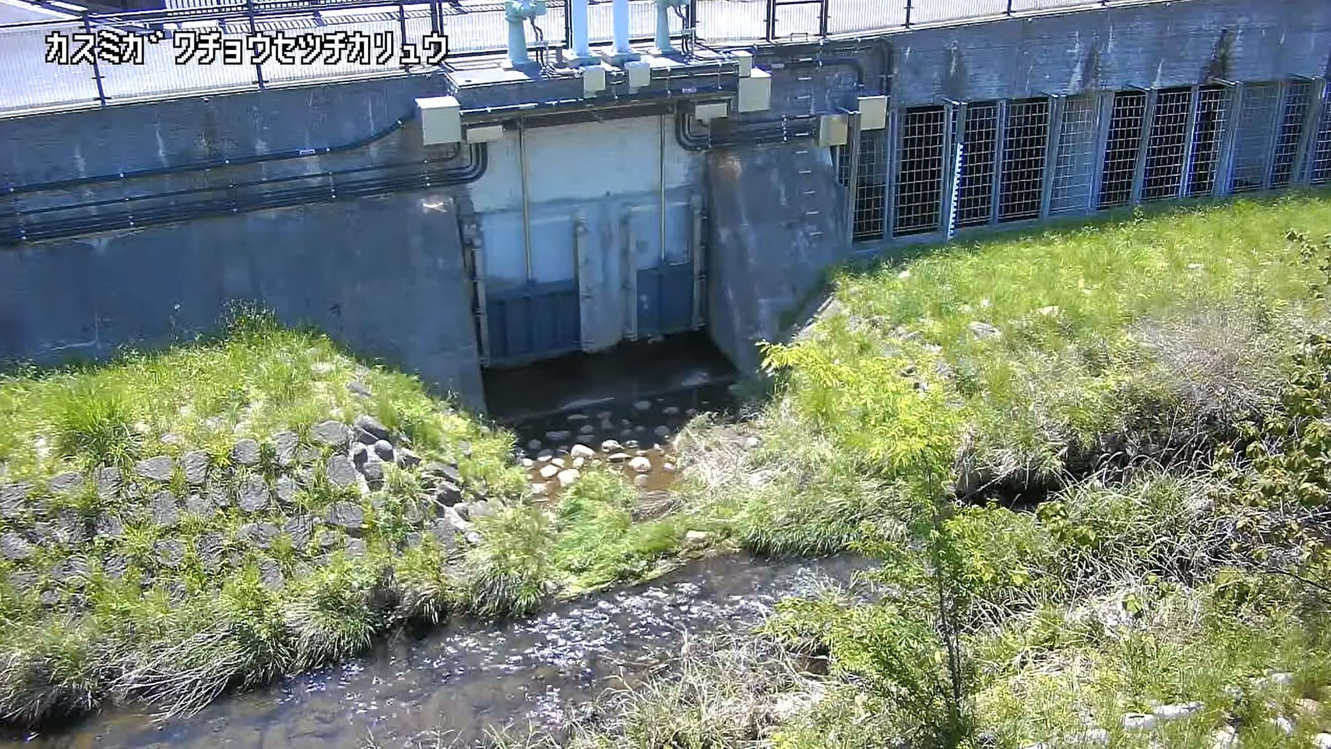 霞川霞川調節池下流ライブカメラ(東京都青梅市今井)