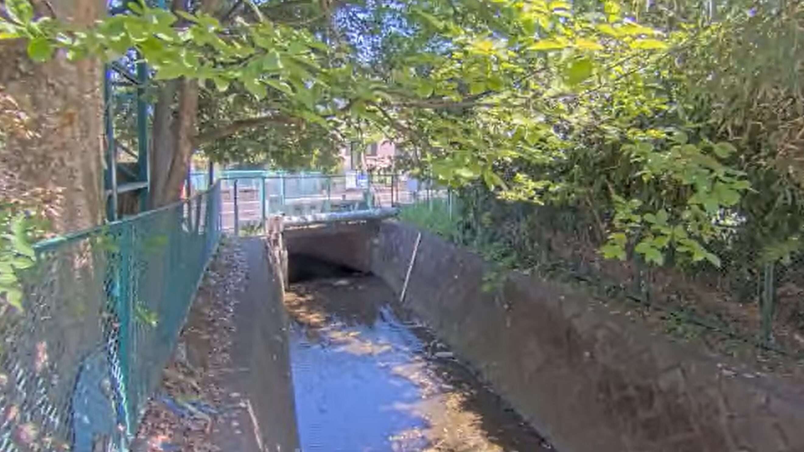 奈良橋川村山橋ライブカメラ(東京都東大和市蔵敷)