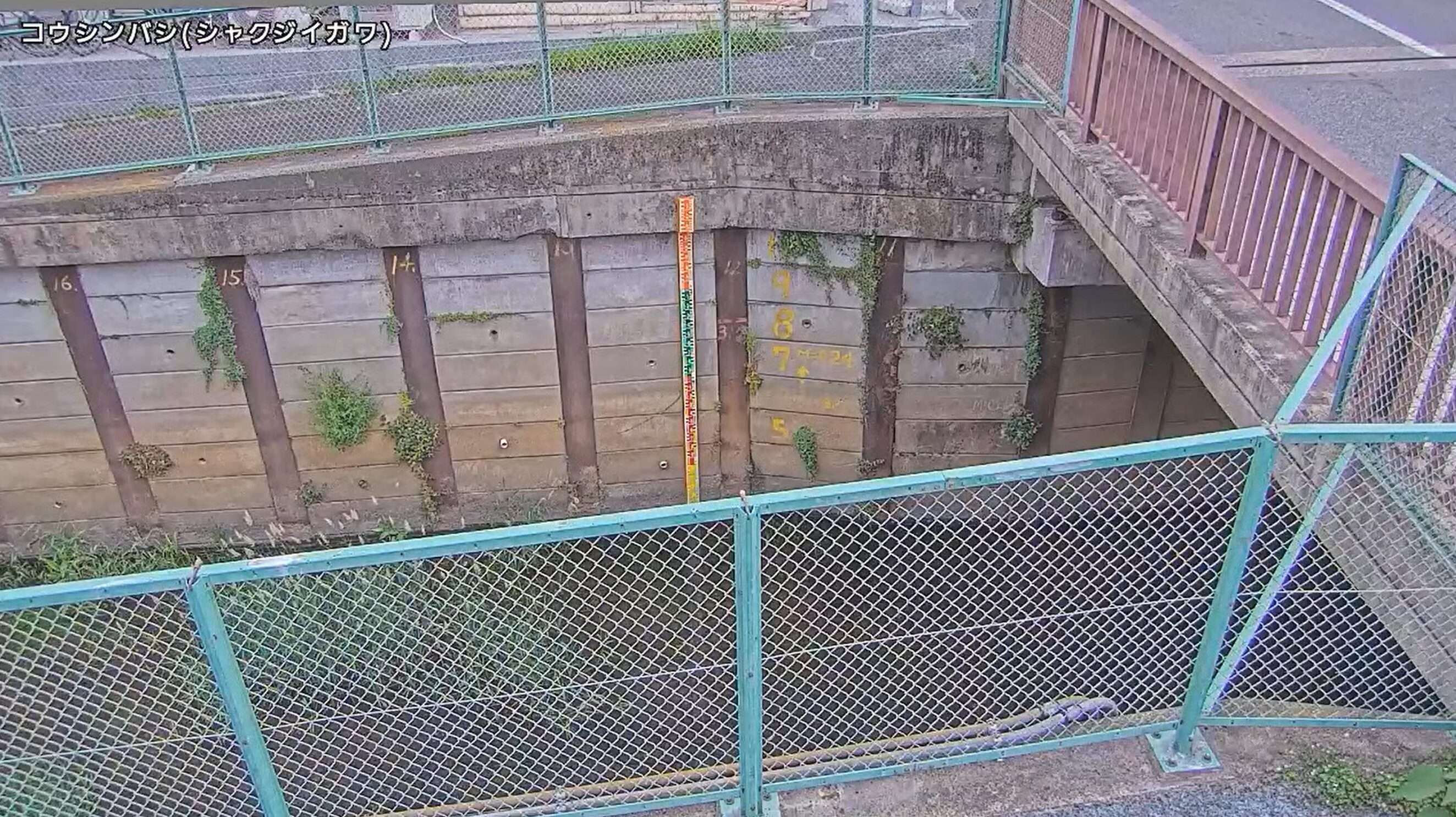 石神井川庚申橋ライブカメラ(東京都練馬区関町北)