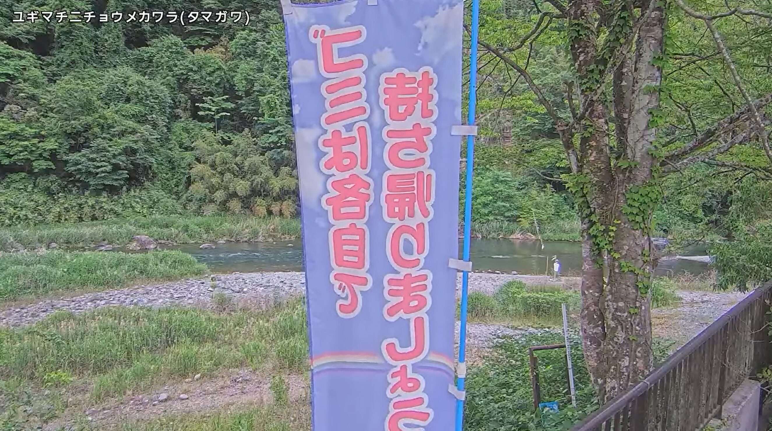 多摩川柚木ライブカメラ(東京都青梅市柚木町)